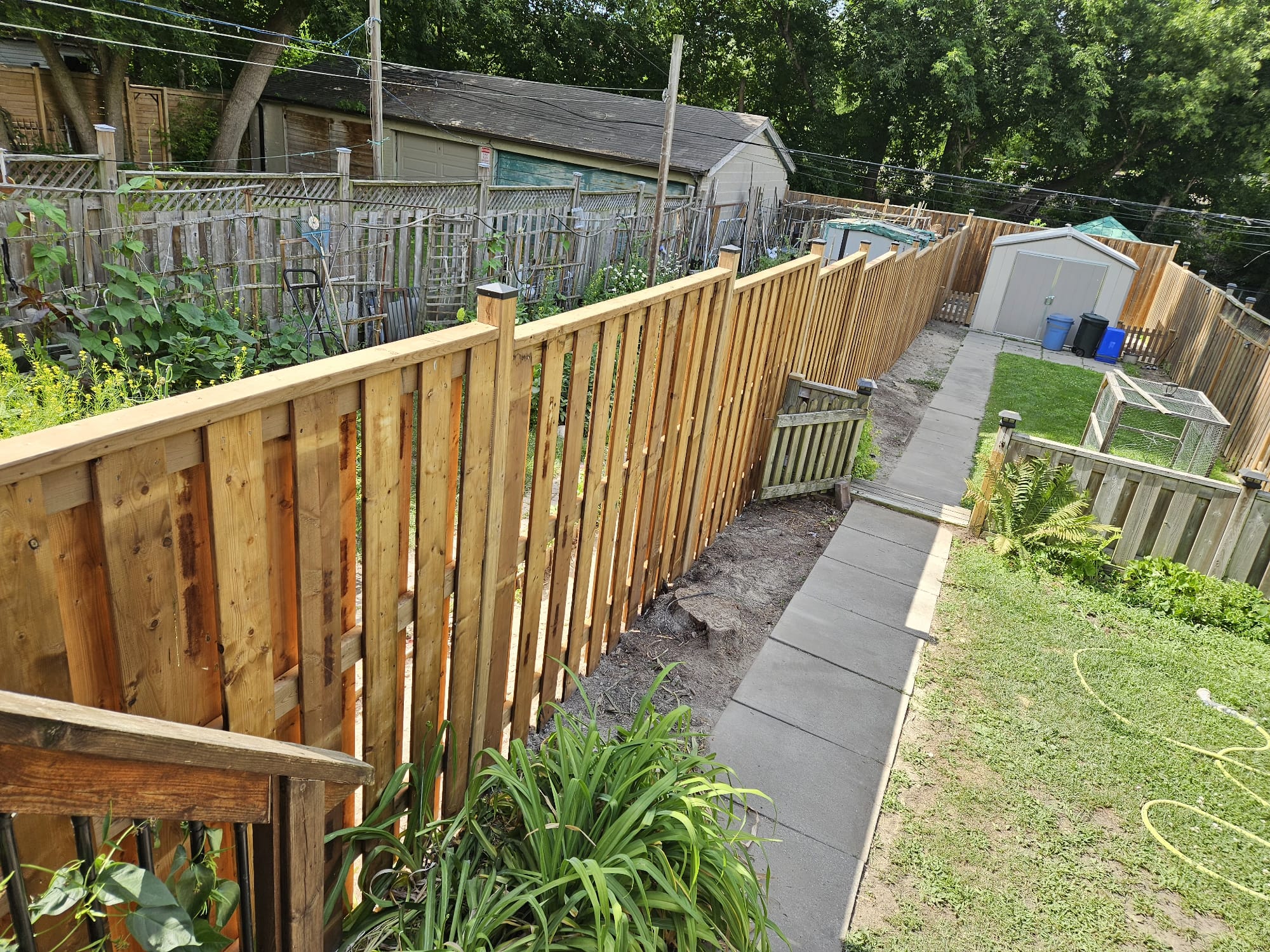 New cedar board fence along a Toronto backyard property line